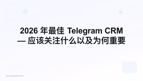 最佳 Telegram CRM 对比指南