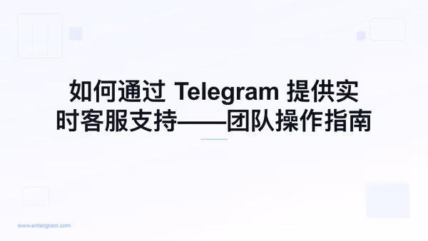 面向客服团队的 Telegram 实时在线支持